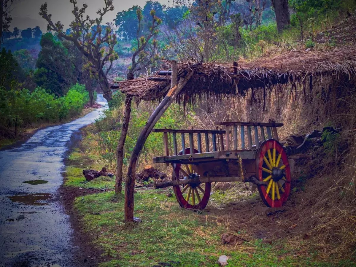 Village Tour